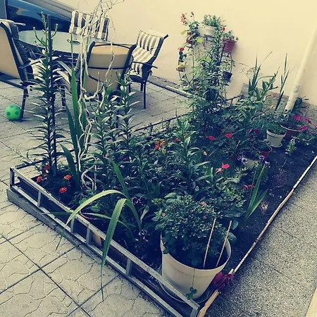 בית הארחה Cristina House קונסטנצה